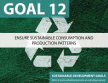 The State of Ecotourism The State of Ecotourism